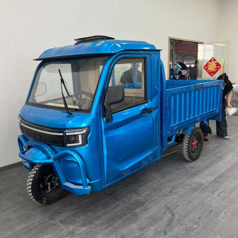 Electric Scooter Adults - Tricycle électrique de fret 800W, mini